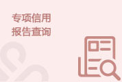 专项信用报告查询