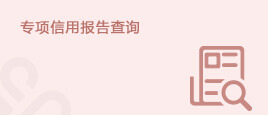 专项信用报告查询